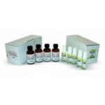 BORMA ENAMEL COLOR TOUCH UP 63 ΚΑΡΥΔΙΑ ΣΚΟΥΡΗ 30 ML