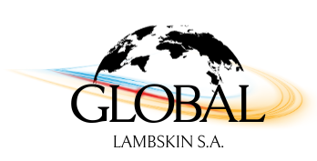 GLOBAL